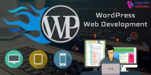 WordPress Developer